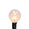 G50 Globe Christmas Light Set - Clear - 9' Black Wire -10ct